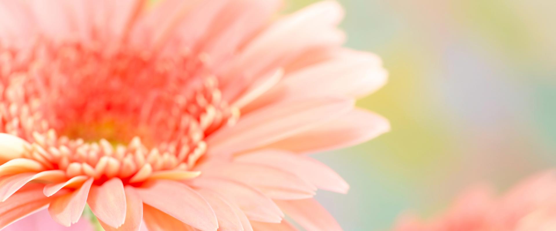 サブバナー画像